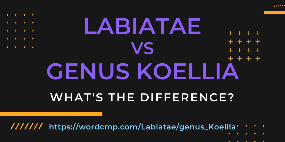 Difference between Labiatae and genus Koellia
