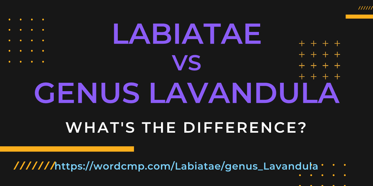 Difference between Labiatae and genus Lavandula