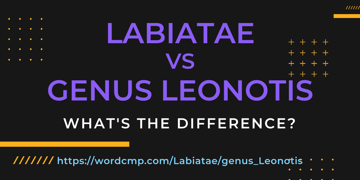 Difference between Labiatae and genus Leonotis