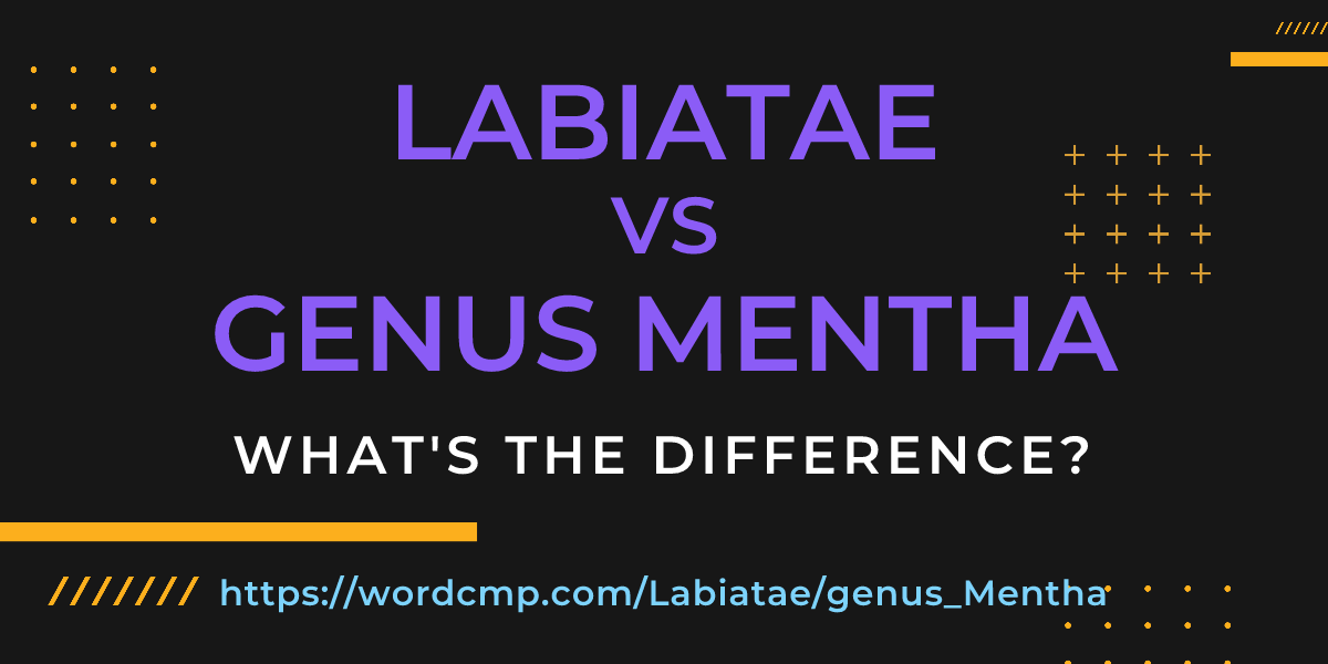 Difference between Labiatae and genus Mentha
