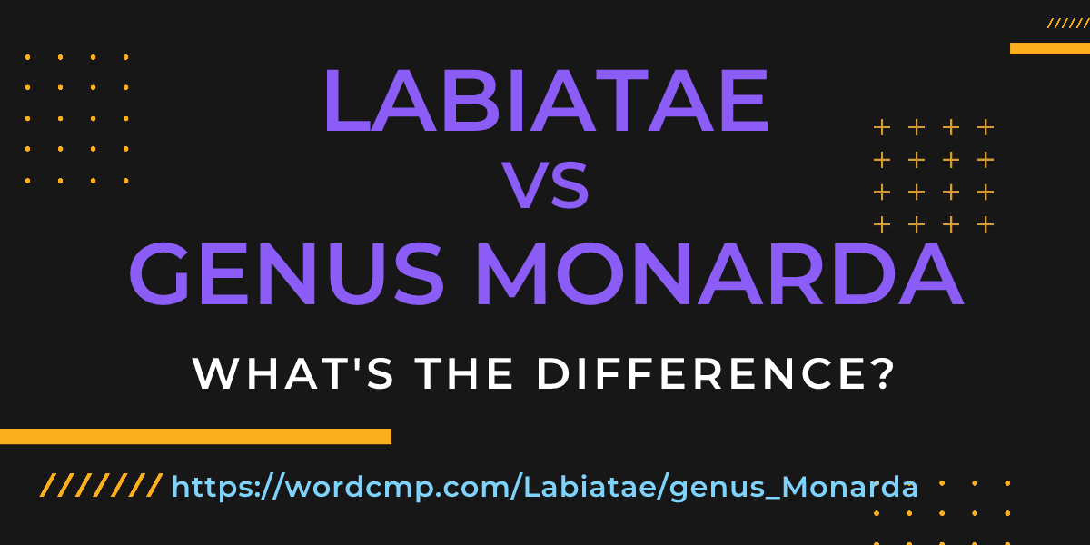 Difference between Labiatae and genus Monarda