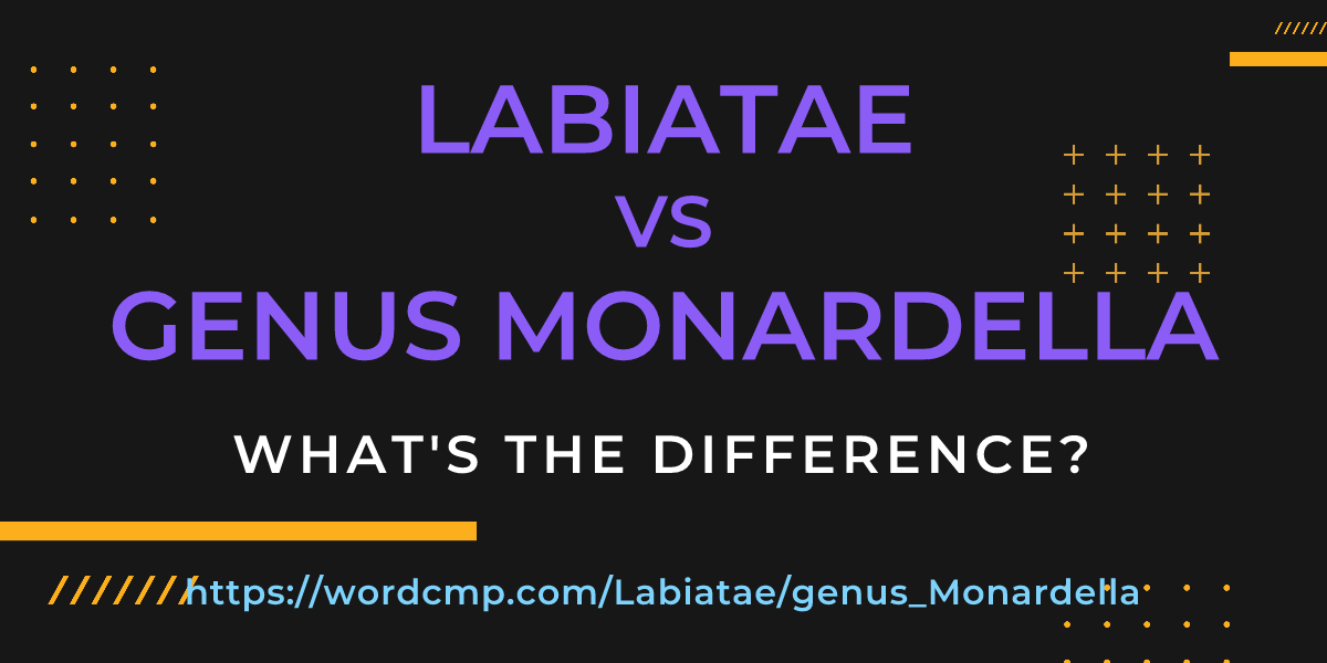 Difference between Labiatae and genus Monardella