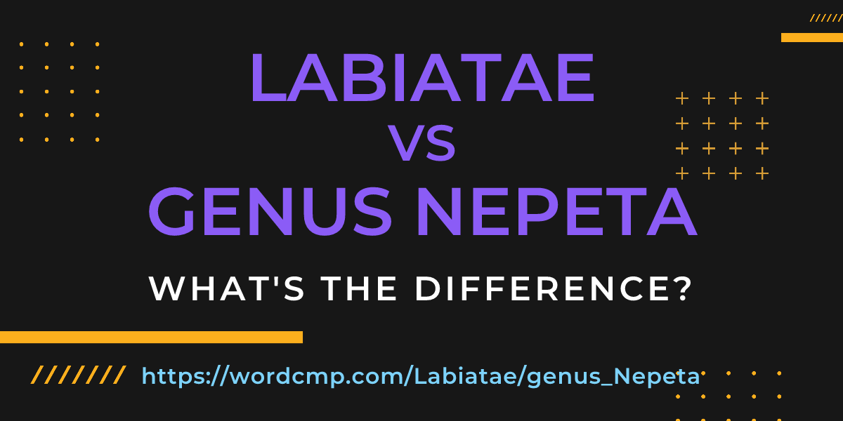 Difference between Labiatae and genus Nepeta