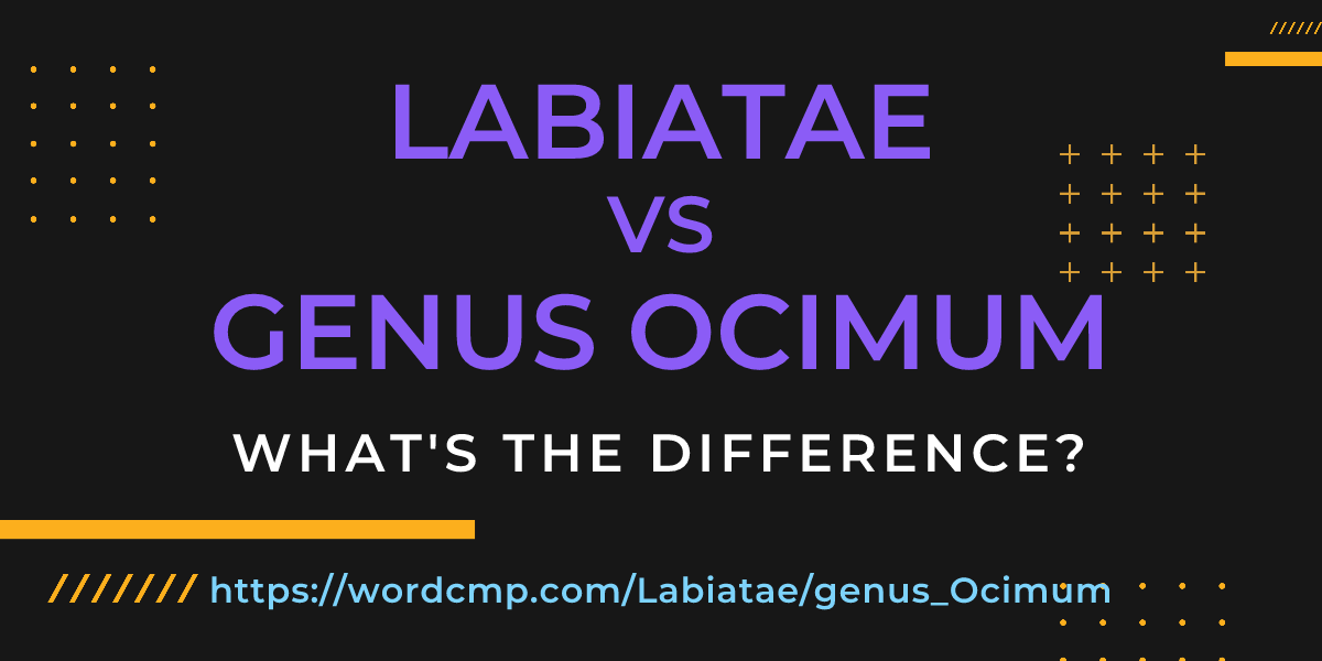 Difference between Labiatae and genus Ocimum
