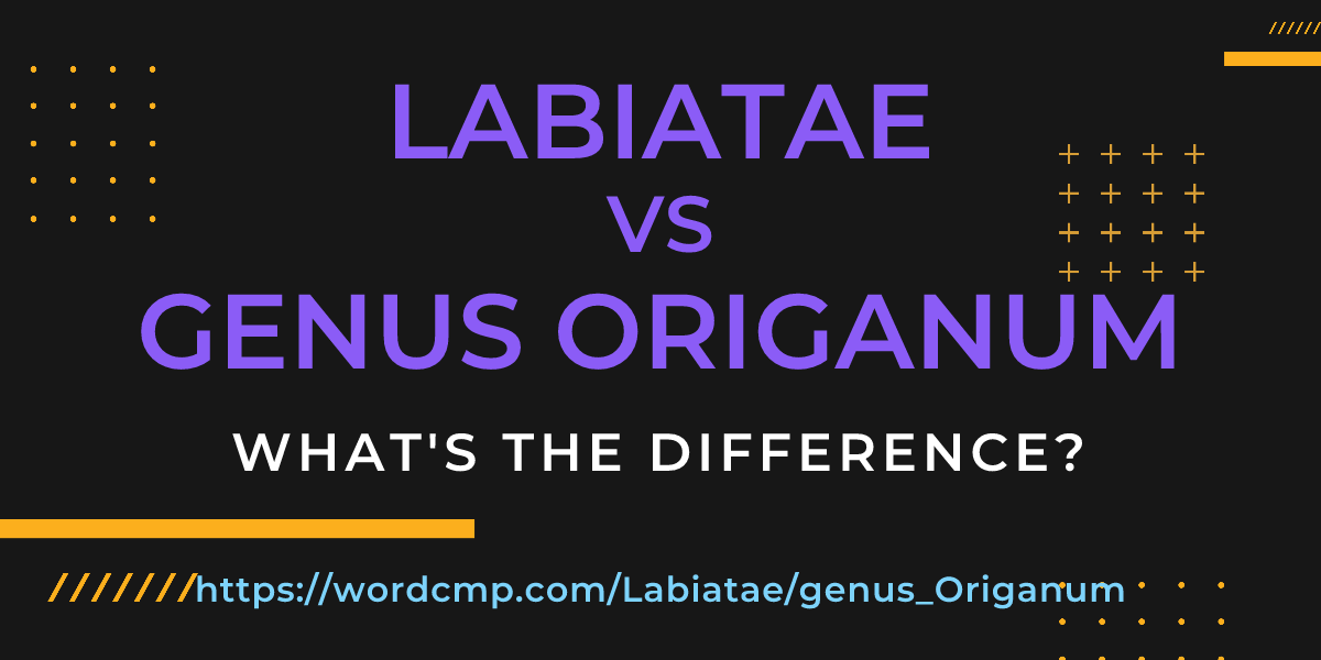 Difference between Labiatae and genus Origanum