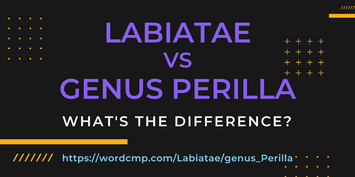 Difference between Labiatae and genus Perilla