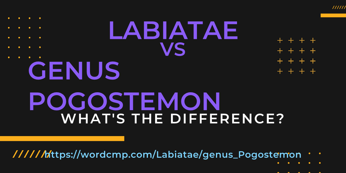 Difference between Labiatae and genus Pogostemon