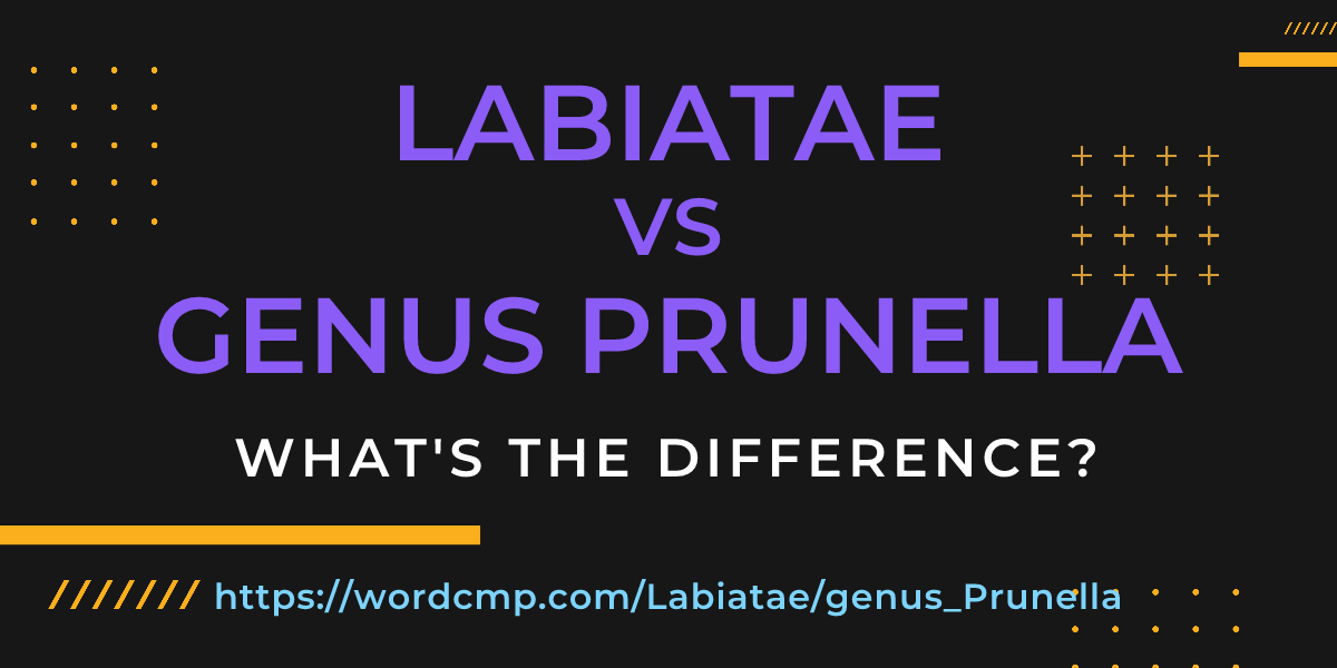 Difference between Labiatae and genus Prunella
