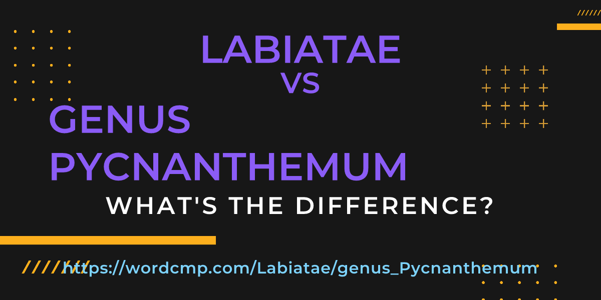 Difference between Labiatae and genus Pycnanthemum