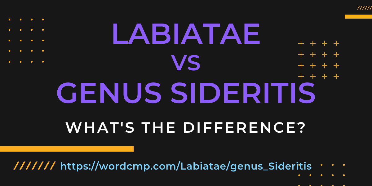 Difference between Labiatae and genus Sideritis