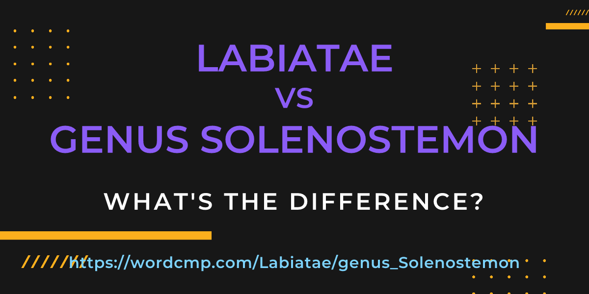 Difference between Labiatae and genus Solenostemon