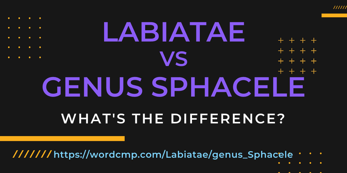 Difference between Labiatae and genus Sphacele