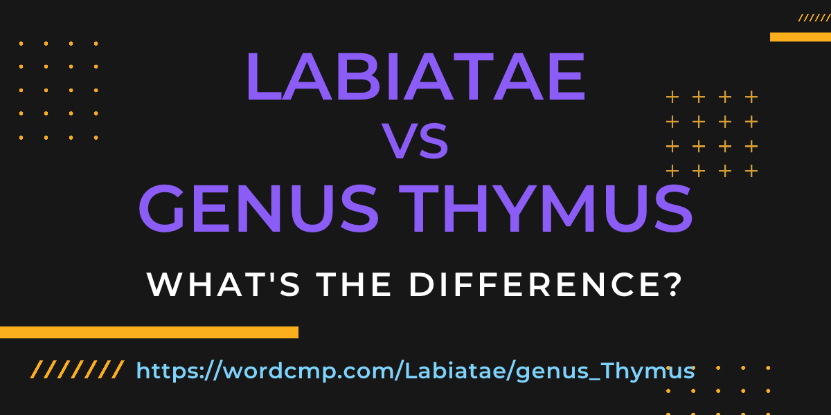 Difference between Labiatae and genus Thymus