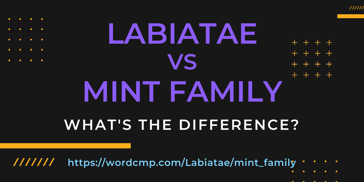 Difference between Labiatae and mint family