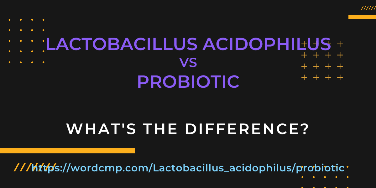 Difference between Lactobacillus acidophilus and probiotic