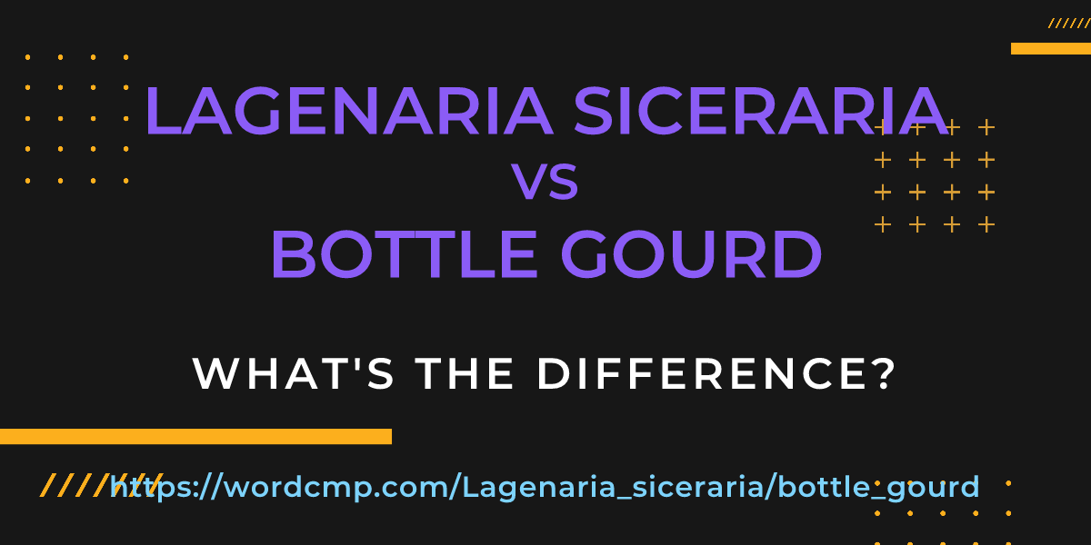 Difference between Lagenaria siceraria and bottle gourd