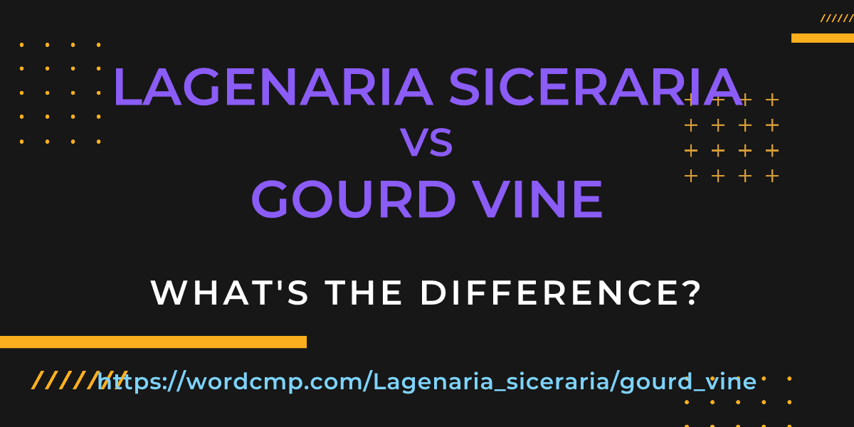 Difference between Lagenaria siceraria and gourd vine