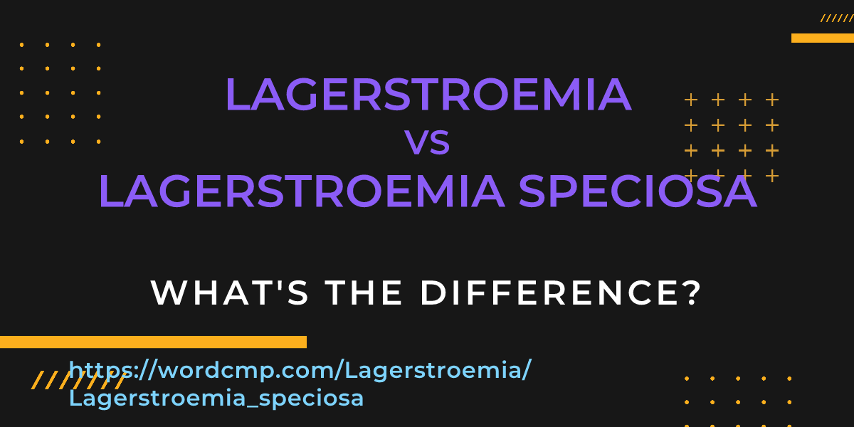 Difference between Lagerstroemia and Lagerstroemia speciosa