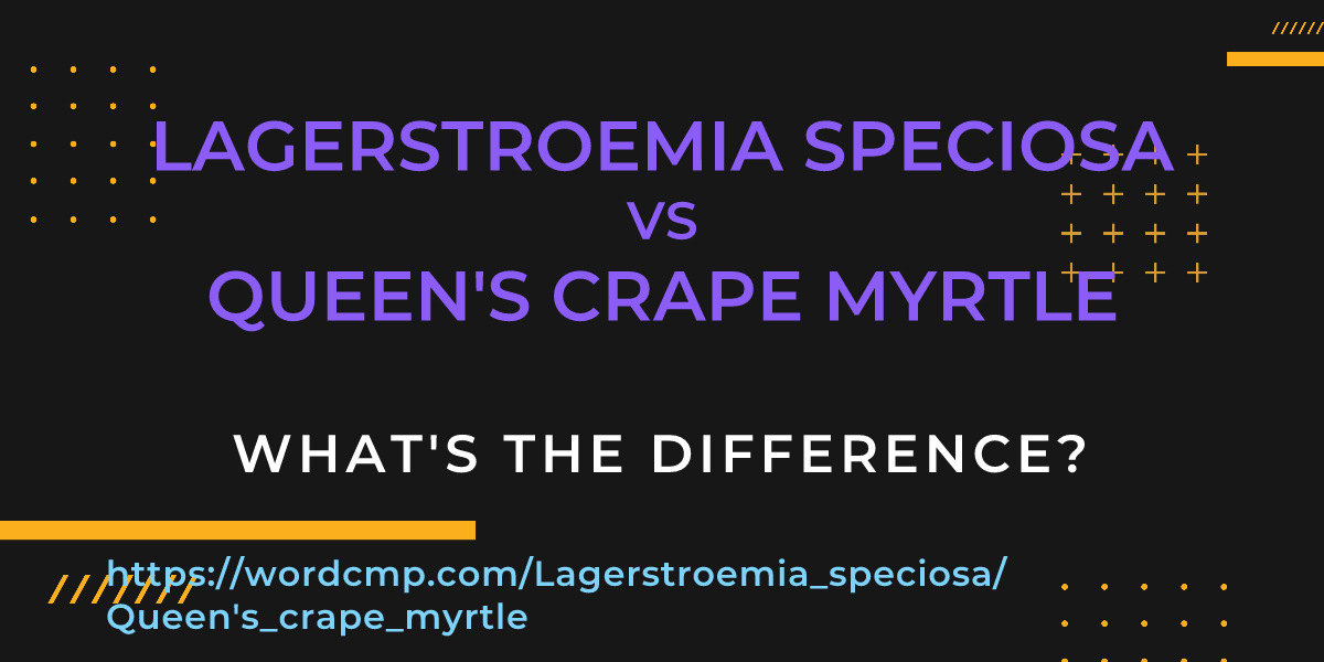 Difference between Lagerstroemia speciosa and Queen's crape myrtle
