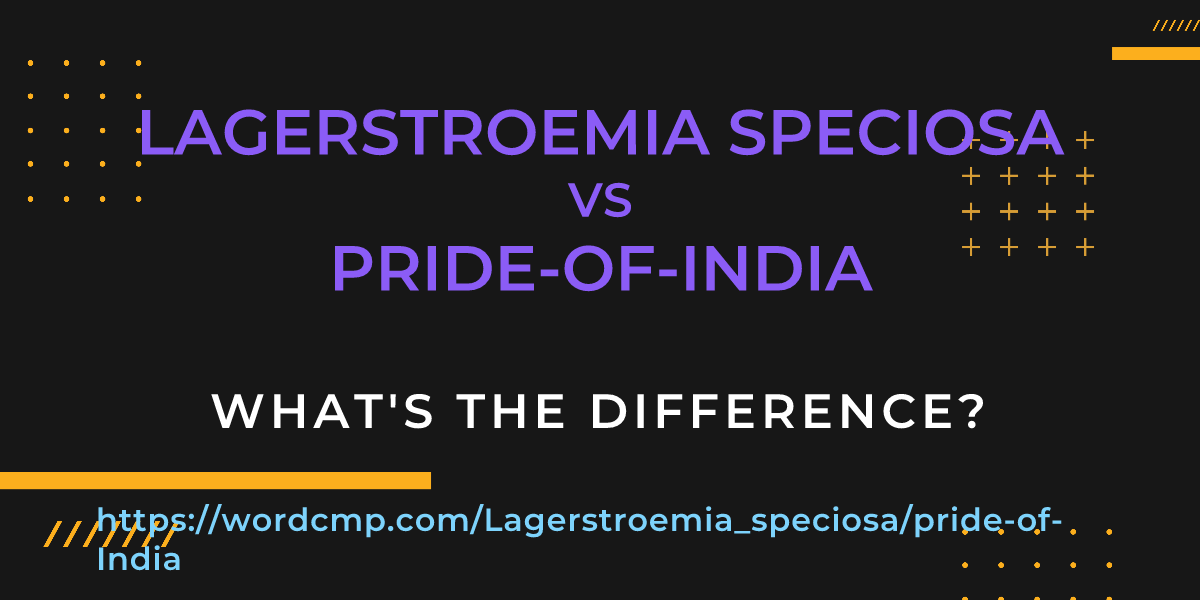 Difference between Lagerstroemia speciosa and pride-of-India