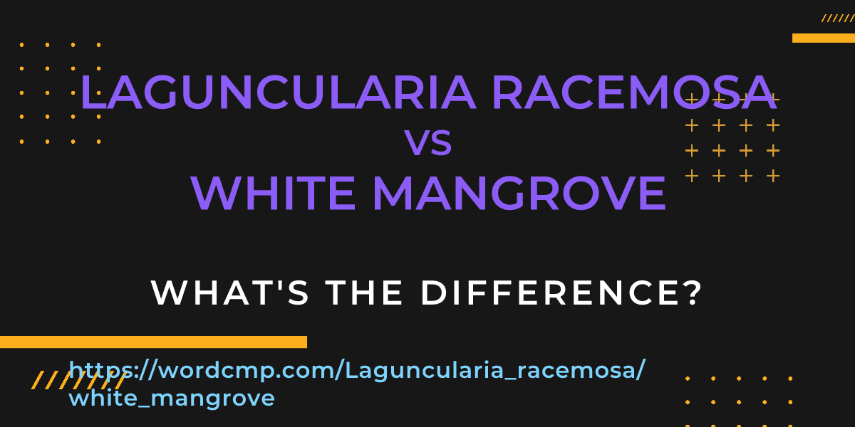 Difference between Laguncularia racemosa and white mangrove