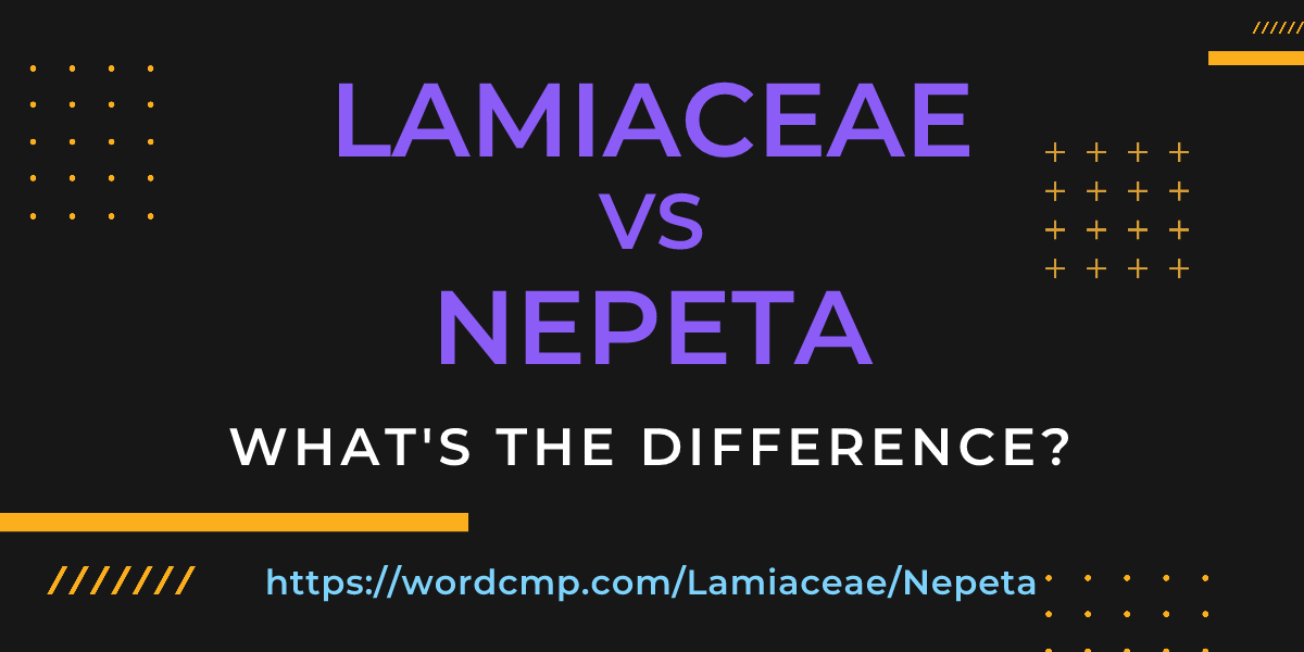 Difference between Lamiaceae and Nepeta