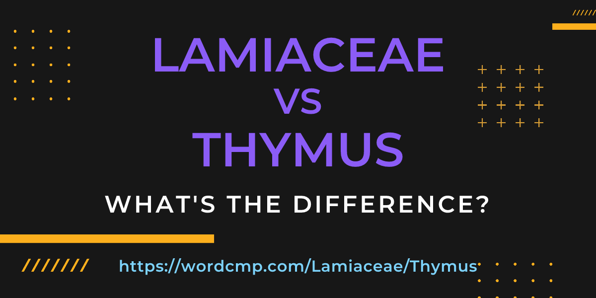 Difference between Lamiaceae and Thymus