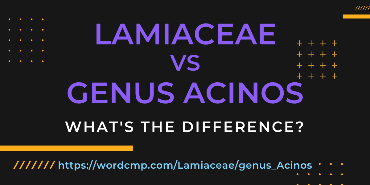 Difference between Lamiaceae and genus Acinos