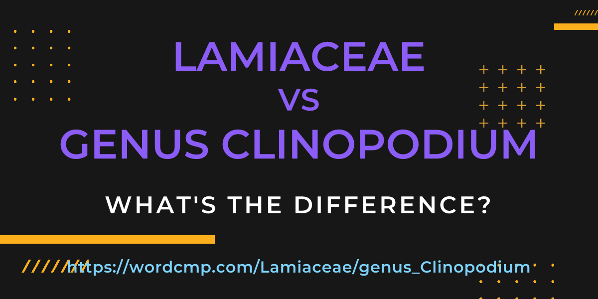 Difference between Lamiaceae and genus Clinopodium