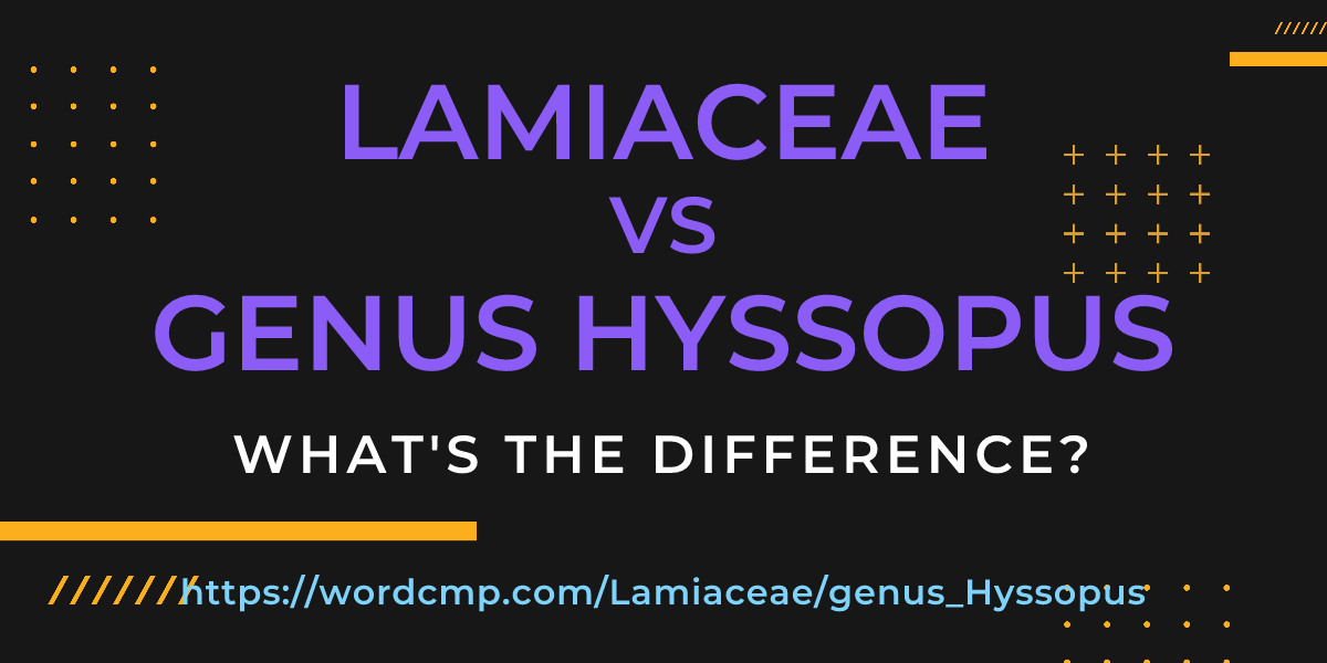 Difference between Lamiaceae and genus Hyssopus