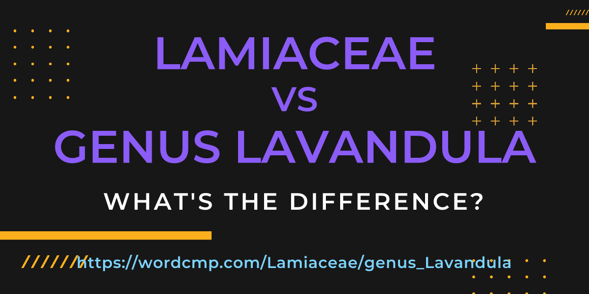 Difference between Lamiaceae and genus Lavandula