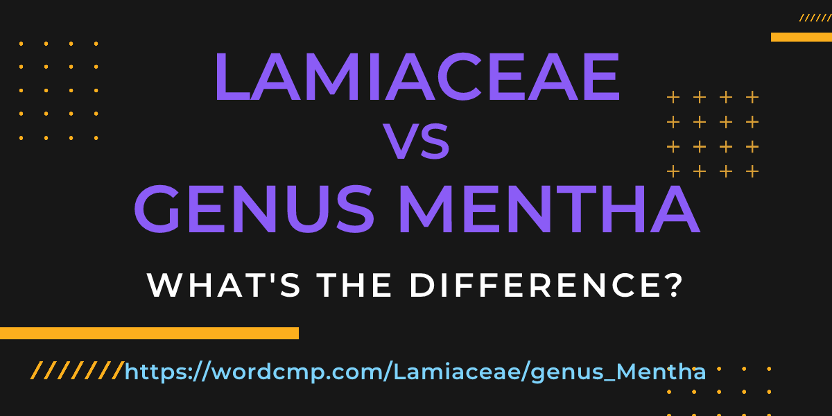 Difference between Lamiaceae and genus Mentha
