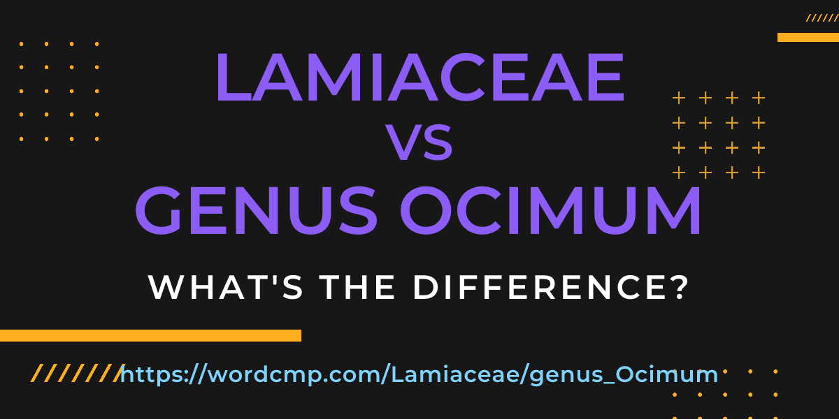 Difference between Lamiaceae and genus Ocimum