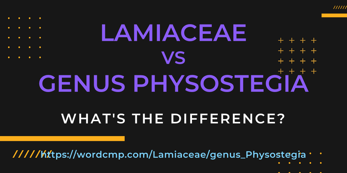 Difference between Lamiaceae and genus Physostegia
