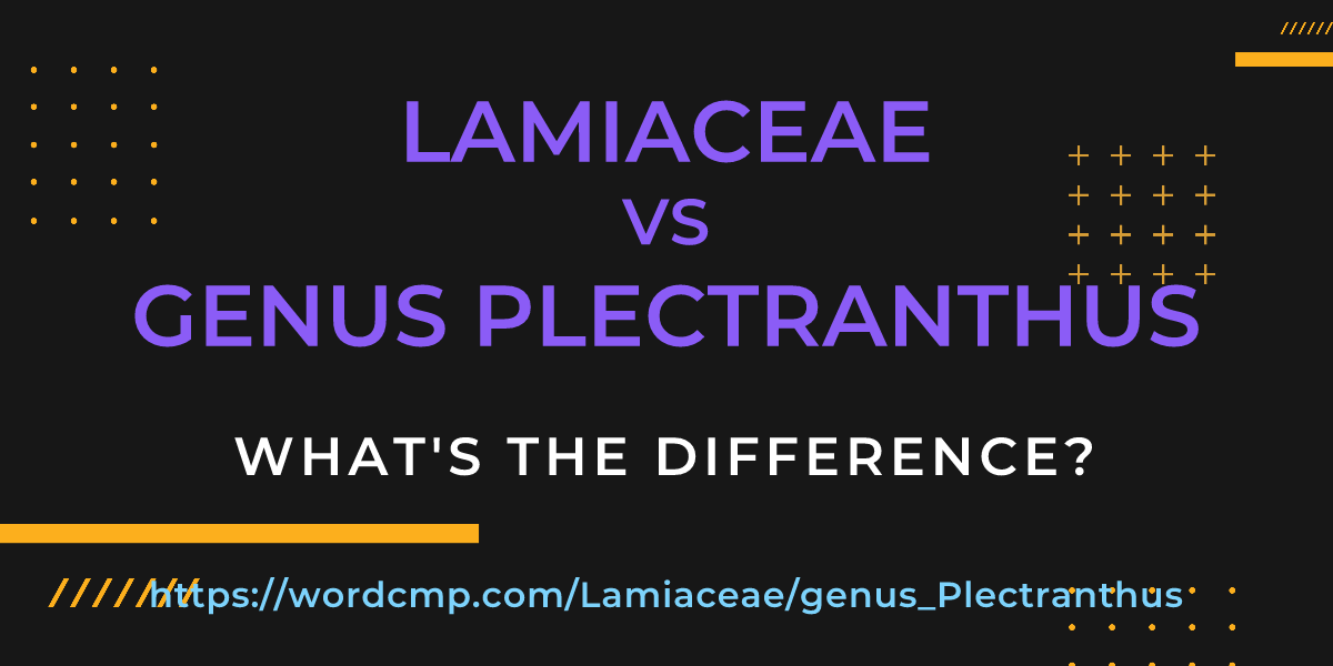 Difference between Lamiaceae and genus Plectranthus