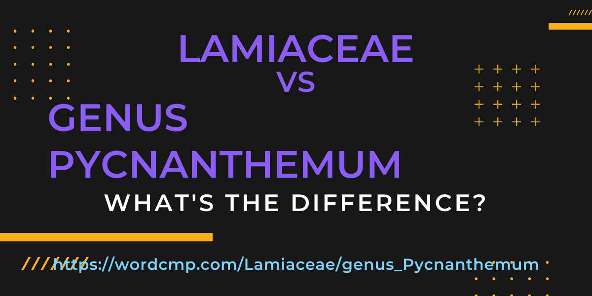 Difference between Lamiaceae and genus Pycnanthemum