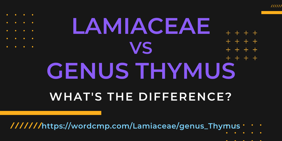 Difference between Lamiaceae and genus Thymus