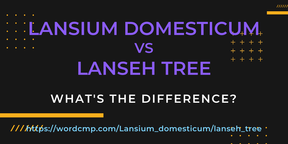 Difference between Lansium domesticum and lanseh tree