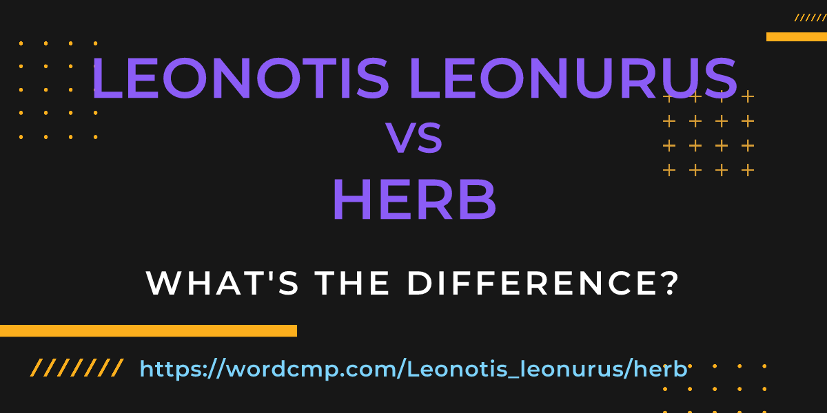 Difference between Leonotis leonurus and herb