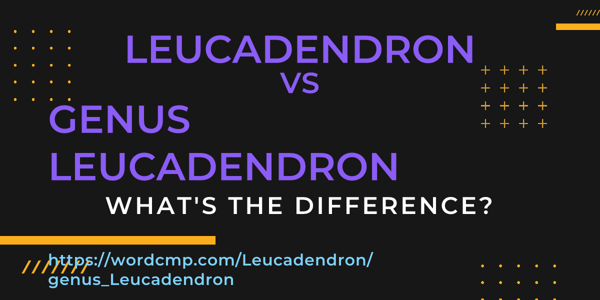 Difference between Leucadendron and genus Leucadendron