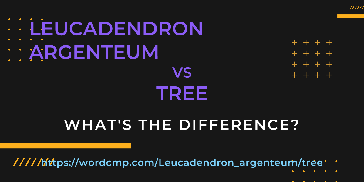 Difference between Leucadendron argenteum and tree