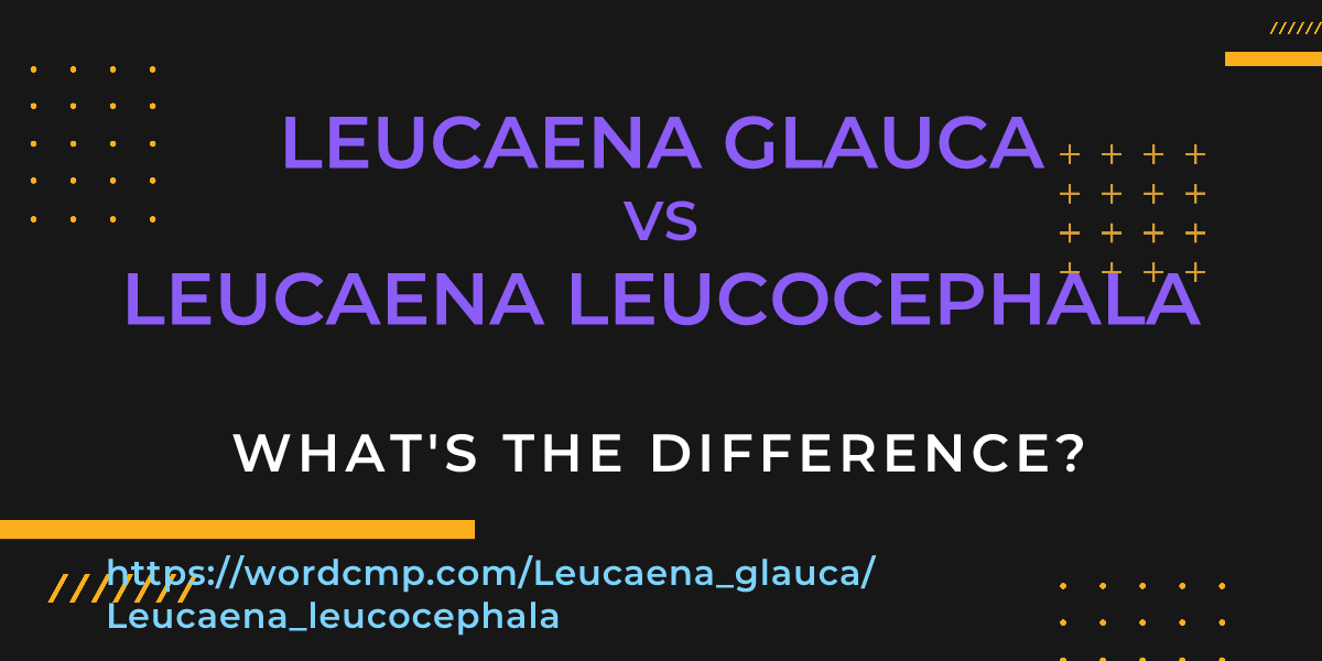 Difference between Leucaena glauca and Leucaena leucocephala