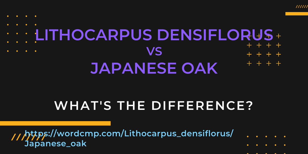 Difference between Lithocarpus densiflorus and Japanese oak