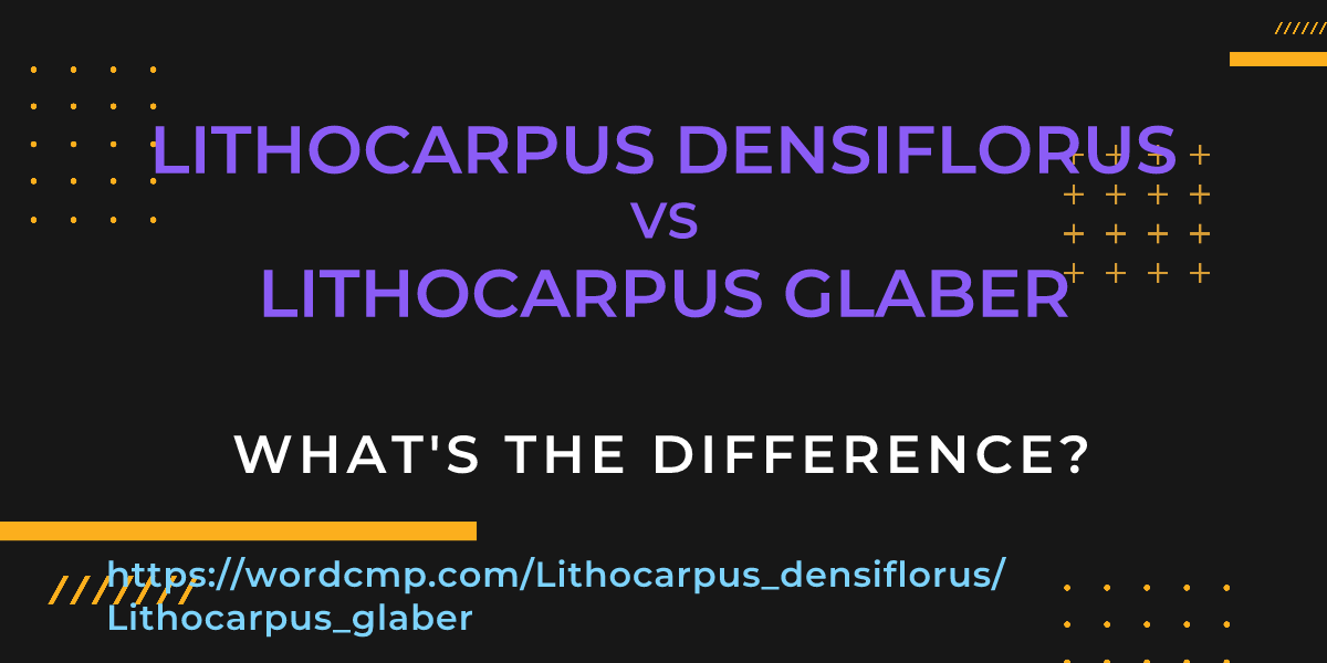 Difference between Lithocarpus densiflorus and Lithocarpus glaber