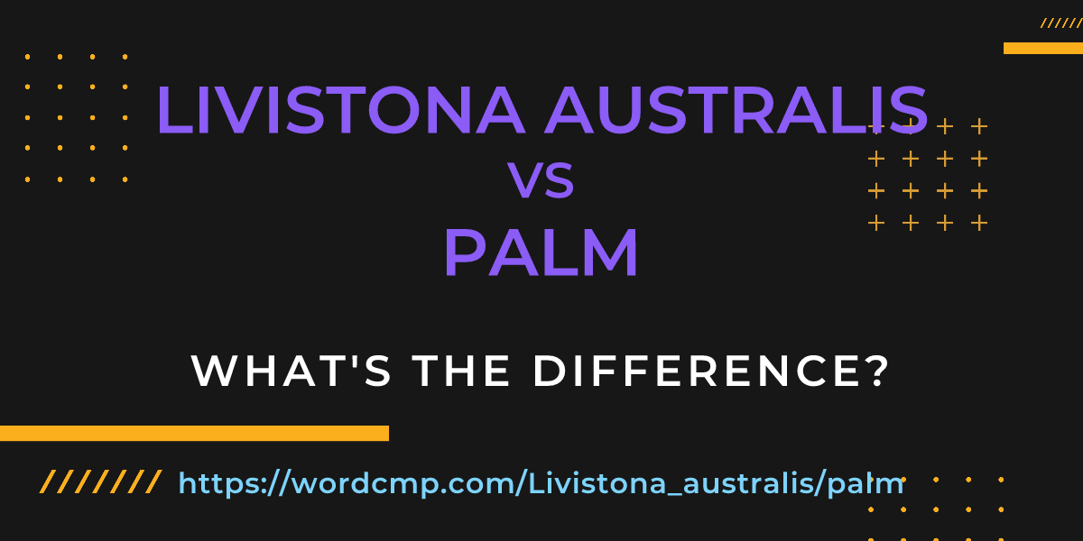 Difference between Livistona australis and palm