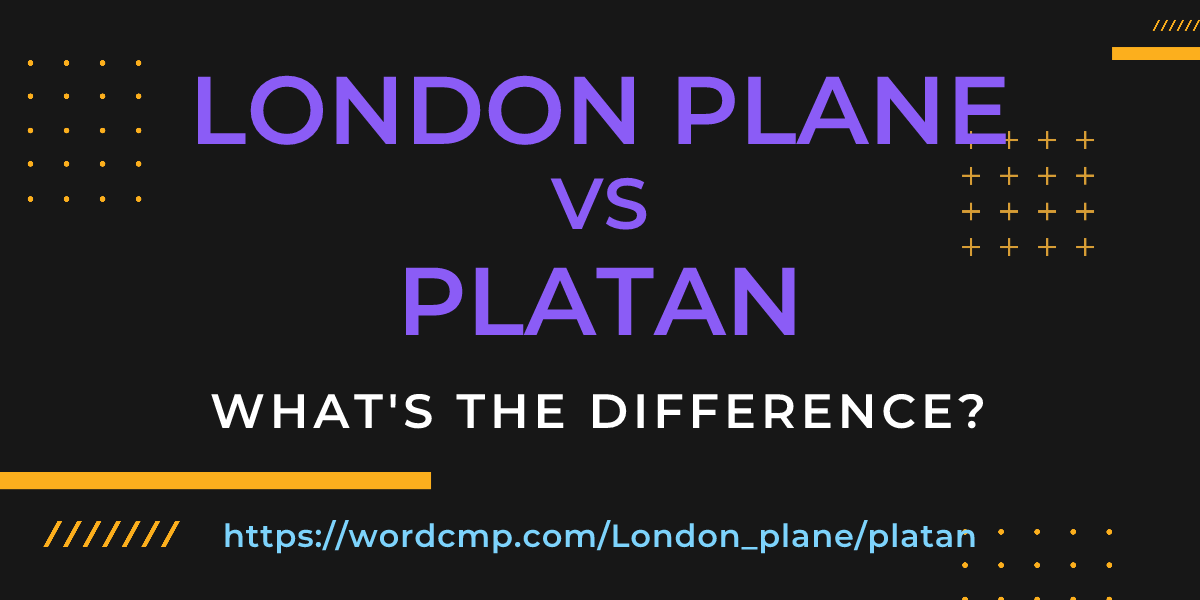 Difference between London plane and platan