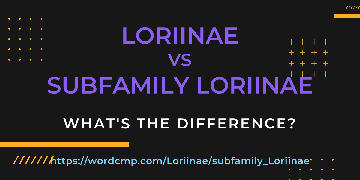 Difference between Loriinae and subfamily Loriinae