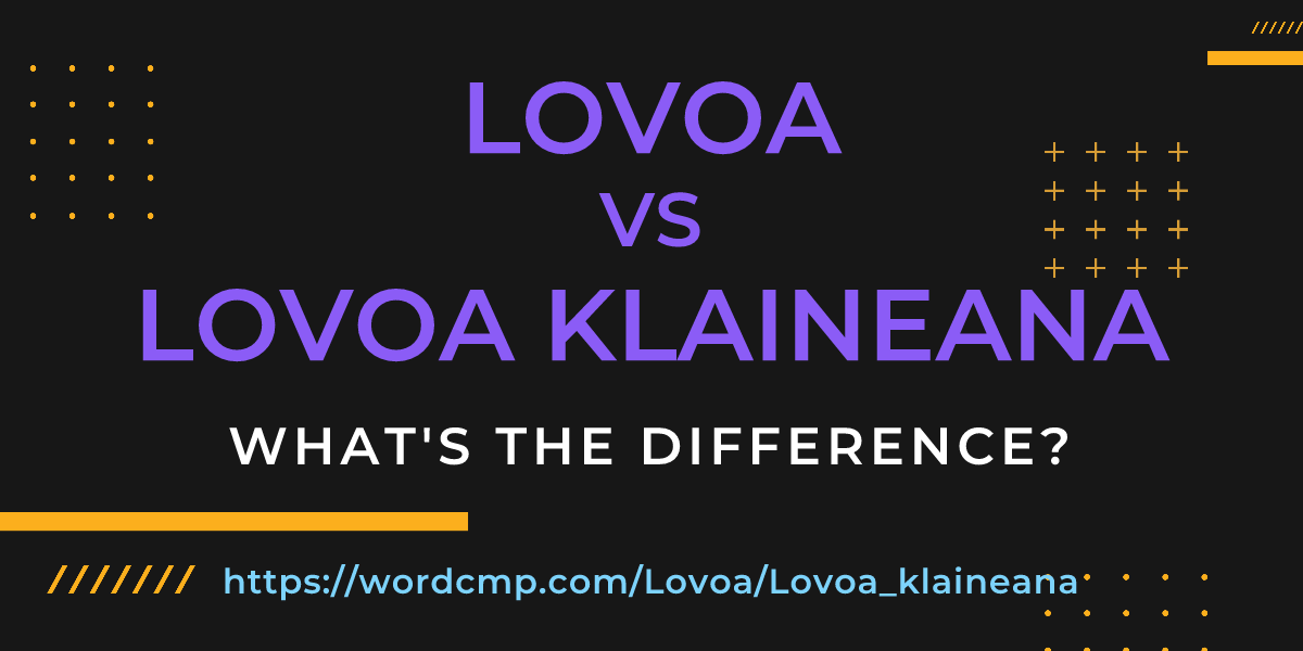 Difference between Lovoa and Lovoa klaineana