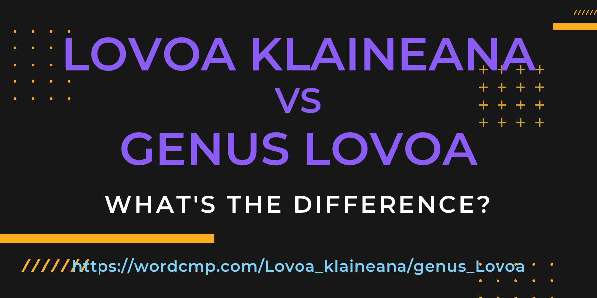 Difference between Lovoa klaineana and genus Lovoa