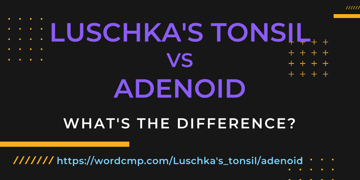 Difference between Luschka's tonsil and adenoid
